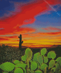 Cactus Desert Sunset Diamond Painting