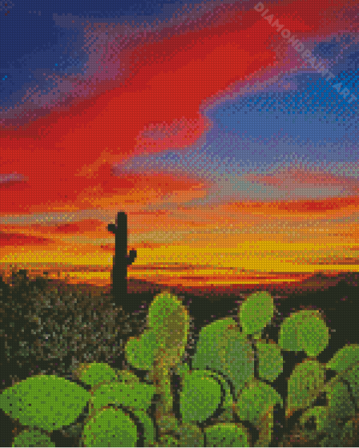 Cactus Desert Sunset Diamond Painting