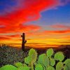 Cactus Desert Sunset Diamond Painting