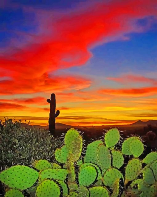 Cactus Desert Sunset Diamond Painting