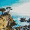 Lone Cypress Monterey Diamond Painting