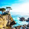 Lone Cypress Monterey Diamond Painting