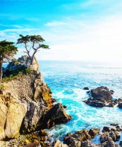 Lone Cypress Monterey Diamond Painting