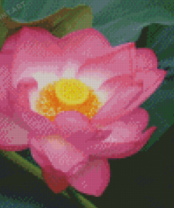 Nelumbo Nucifera Diamond Painting