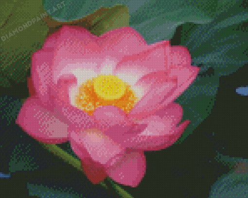 Nelumbo Nucifera Diamond Painting