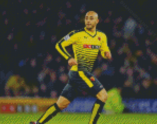 Nordin Amrabat Player Diamond Painting