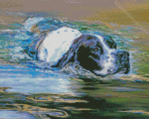 Pointer Dog In Water Diamond Painting