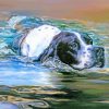 Pointer Dog In Water Diamond Painting