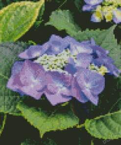 Hortensia Flower Diamond Painting