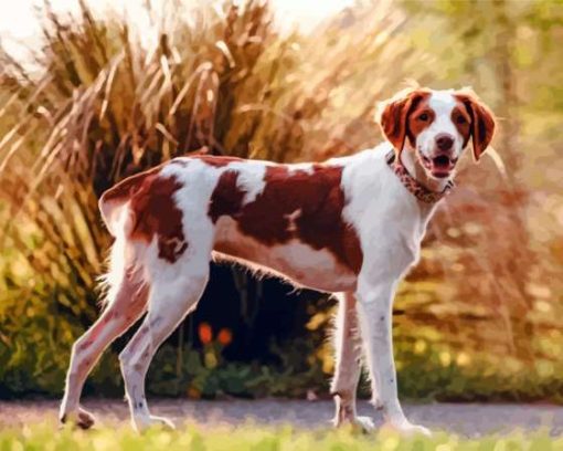 Brittany Spaniel Diamond Painting