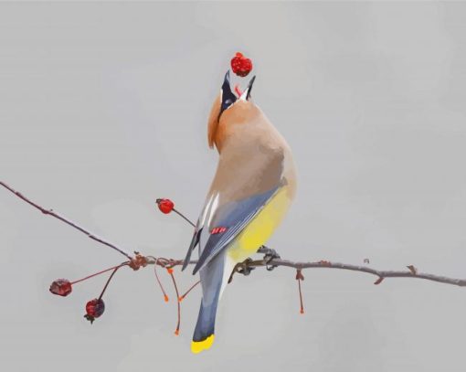 Cedar Waxwing Diamond Painting