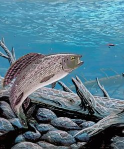 Grey Grayling Fish Diamond Painting