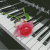 Piano With Pink Flower Diamond Painting