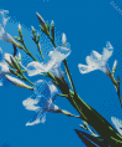 White Oleanders Diamond Painting