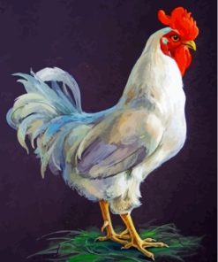 Big White Rooster Diamond Painting