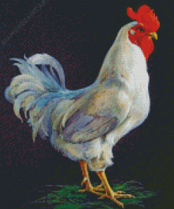 Big White Rooster Diamond Painting