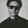 Trevor Noah With Glasses Diamond Painting