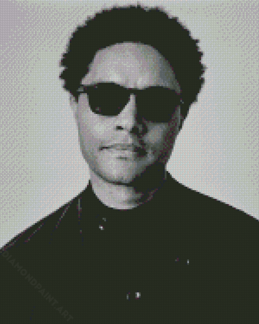 Trevor Noah With Glasses Diamond Painting