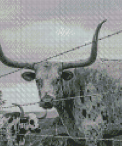 Longhorn Animal Diamond Painting