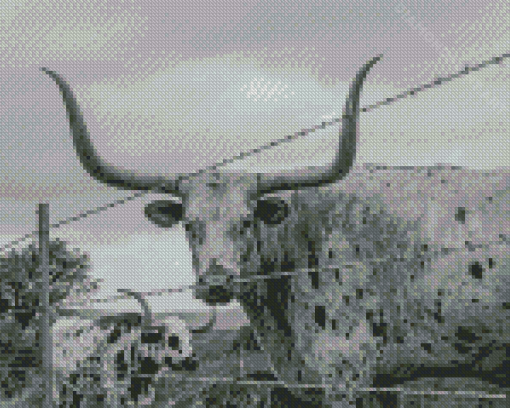 Longhorn Animal Diamond Painting