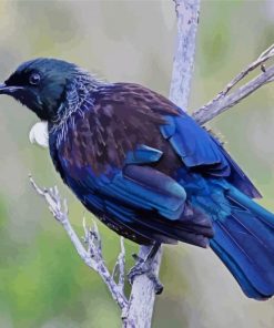 New Zealand Tui Bird Diamond Painting