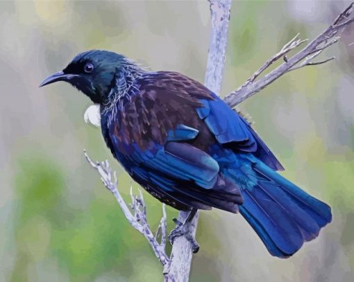 New Zealand Tui Bird Diamond Painting