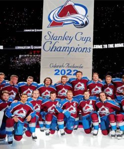 Colorado Avalanche Team Diamond Painting