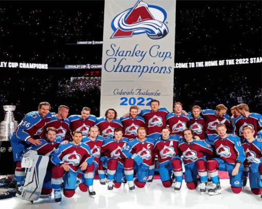 Colorado Avalanche Team Diamond Painting