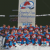 Colorado Avalanche Team Diamond Painting