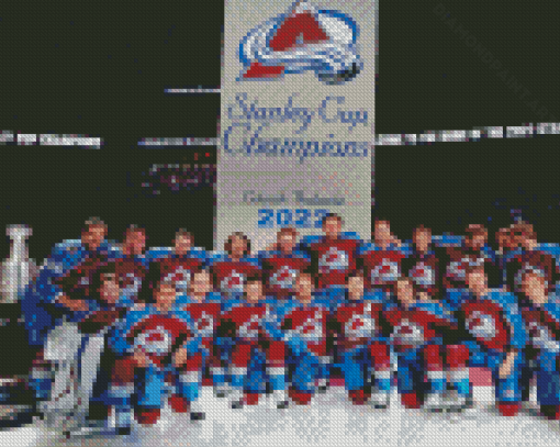 Colorado Avalanche Team Diamond Painting