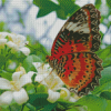 Colorful Butterfly On Flowers Diamond Painting