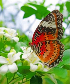 Colorful Butterfly On Flowers Diamond Painting