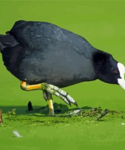 Coots In Green Lake Diamond Painting