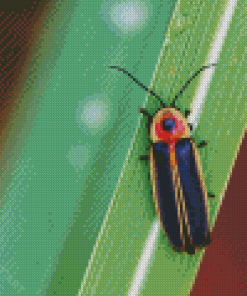 Firefly 2 Diamond Painting