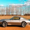 Grey 1970 Firebird Car Diamond Painting