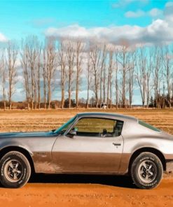 Grey 1970 Firebird Car Diamond Painting