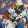 Larry Rountree Missouri Tigers Player Diamond Painting