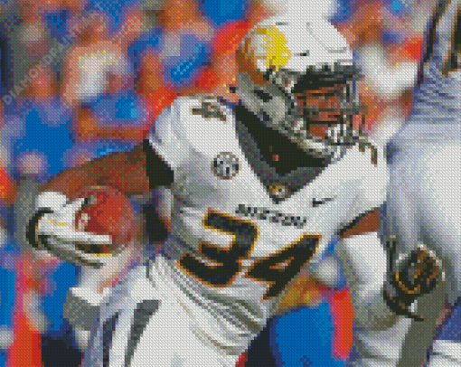 Larry Rountree Missouri Tigers Player Diamond Painting