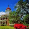 Mississippi Natchez Longwood Diamond Painting