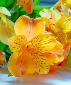 Orange And Yellow Alstroemeria Diamond Painting