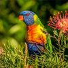 Parrot With Grevillea Diamond Painting