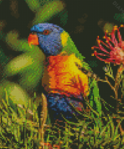 Parrot With Grevillea Diamond Painting