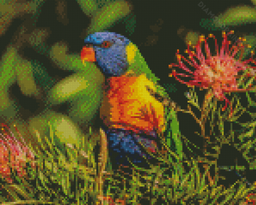 Parrot With Grevillea Diamond Painting