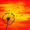 Red Orange Sunset Dandelion Diamond Painting