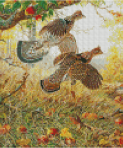 Ruffed Grouse Bird Diamond Painting