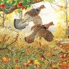 Ruffed Grouse Bird Diamond Painting