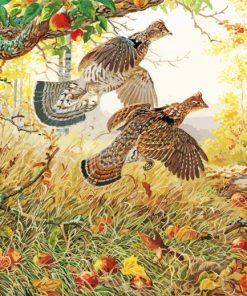 Ruffed Grouse Bird Diamond Painting