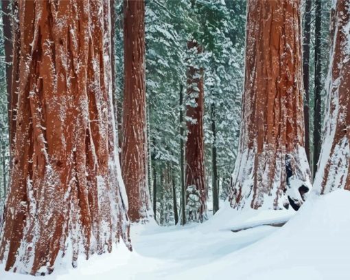 Sequoia National Park Landscape Diamond Painting