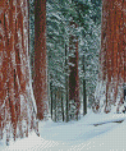 Sequoia National Park Landscape Diamond Painting