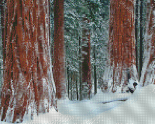 Sequoia National Park Landscape Diamond Painting